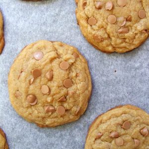 Butter-scotch Cookies